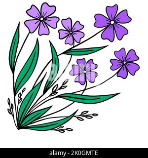 Handgezeichnetes Blumenstrauß mit lila Blüten grünen Blättern, Eckkomposition. Garten wilden Blumen periwinkle, elegante einfache minimalistische Design, Skizze Blüte Pflanze Kraut, Natur im Freien Stockfoto