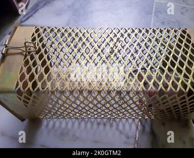 rat caught in rat cage trap from different angle at day Stockfoto