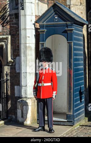 London, Großbritannien, 23. Juli 2012: Queen's Guard oder Queen's Life Guard in der St. James's Palace am 23 Juli 17, 2012 in London, England Stockfoto