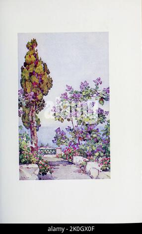 Ein spanischer Garten Kanarische Inseln, gemalt von Ella Du Cane 1911 Stockfoto