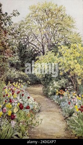 Tulips in the 'Garden of Peace' from the Charming Garden von Dion Clayton Calthrop (1878–1937) englischer Autor, Illustrator Veröffentlicht 1910 Stockfoto