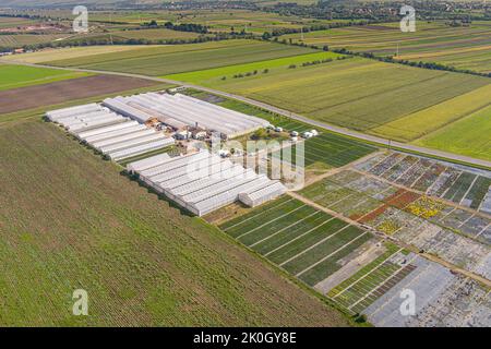 Drohnenflug über Gewächshäuser und eine Blumenplantage an einem sonnigen Tag. Stockfoto