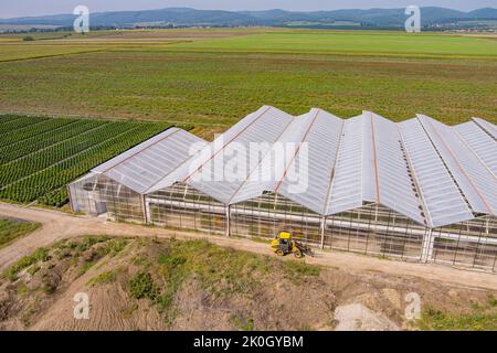 Gewächshaus landschaftlich schöne Aussicht. Felder für Blumen- und Gemüseproduktion Stockfoto