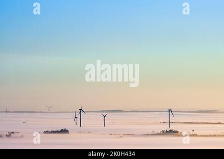 Windturbinen über dem Morgennebel in der Morgendämmerung Stockfoto