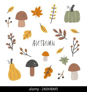 Handgezeichnete Vektor Herbstblätter, Pilze, Beeren und mehr. Saisonale Herbsternte. Farbige flache Vektorgrafik isoliert auf weißem Hintergrund Stock Vektor