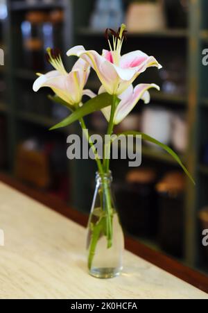 Hellrosa Lilien in transparenter Vase Stockfoto