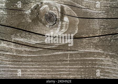 Die Textur eines alten verfallenden Baumes Stockfoto