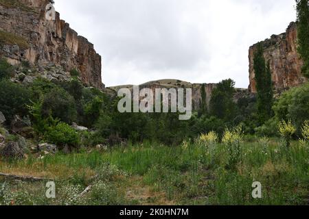 Blick auf das Ihlara-Tal mit Klippenrand und Wald in Aksaray, Zentralanatolien, Türkei Stockfoto