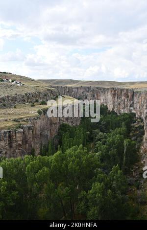 Eine vertikale Ansicht des Ihlara-Tals mit Klippenrand und Wald in Aksaray, Zentralanatolien, Türkei Stockfoto