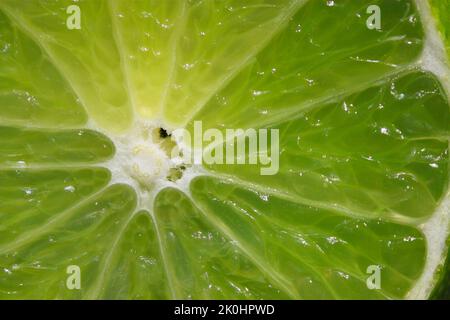 Eine Nahaufnahme einer frischen Limettenscheibe Stockfoto