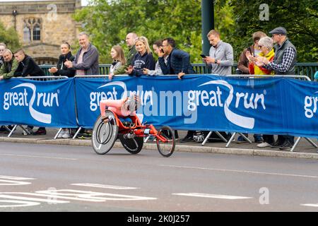 Rollstuhl-Elite-Konkurrent, Great North Run 2022 Halbmarathon, in Gateshead, kurz nach der Überquerung der Tyne Bridge von Newcastle upon Tyne, Großbritannien Stockfoto