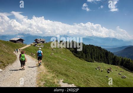 Zurück ins Tal auf einer Höhe von etwa 2000 m führt der Weg in der Nähe von zwei Hütten, an diesen Orten werden Pferde und Kühe gezüchtet, die um sie herum weiden, Stockfoto