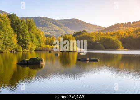 Herbst Buchenwald Reflecter im Wasser Stockfoto