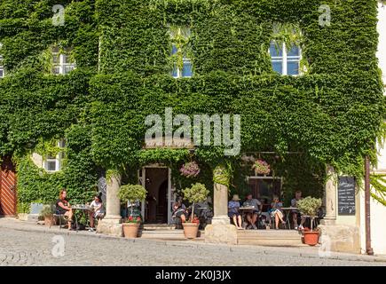 Café Dolce Vita mit grüner Efeu-Wand, Mikulov, Tschechische Republik Stockfoto