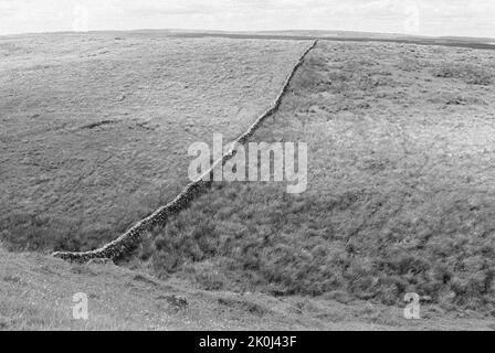 Eine Trockensteinmauer, die sich über ein Feld in Northumberland, Nordengland, in der Nähe der Hadrianmauer erstreckt. Gedreht auf 35mm Schwarzweißfilmen. Stockfoto