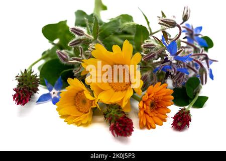 Buntes Bukett von Herbstblumen auf weißem Hintergrund Stockfoto