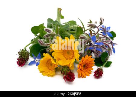 Bunte Ringelblumen auf weißem Hintergrund Stockfoto