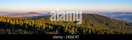 Luftaufnahme des herbstlichen Bergwaldes Stockfoto