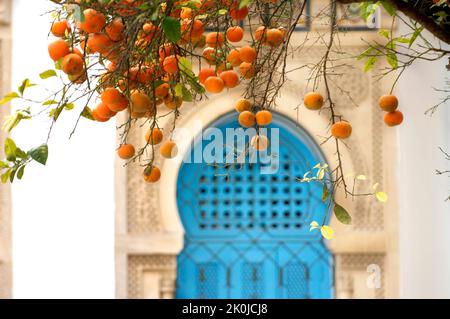 Die Verkürzung, Sagte Sidi Bou, Tunesien, Nordafrika, Afrika Stockfoto