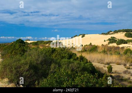 Dünen, Piscinas, Arbus, Medio-Campidano, Sardinien, Italien Stockfoto