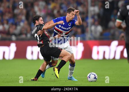 Foto Tano Pecoraro/LaPresse 10 Settembre 2022 - Genua, Italia Sport, CalcioSampdoria vs Milan - Campionato italiano di calcio Serie A Tim 2022/2023 - Stadio Luigi FerrarisNella foto: Djuricic, calabriaPhoto Tano Pecoraro/LaPresse 10. September 2022 - Genua, Italien Sport, Fußball Sampdoria vs Milan - Italienische Serie A Fußballmeisterschaft 2022/2023 - Luigi Ferraris StadiumAuf dem Foto: Djuricic, kalabrien Stockfoto