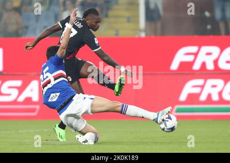Foto Tano Pecoraro/LaPresse 10 Settembre 2022 - Genua, Italia Sport, CalcioSampdoria vs Milan - Campionato italiano di calcio Serie A Tim 2022/2023 - Stadio Luigi FerrarisNella foto: leao, ferrariPhoto Tano Pecoraro/LaPresse 10. September 2022 - Genua, Italien Sport, Fußball Sampdoria vs Milan - Italienische Serie A Fußballmeisterschaft 2022/2023 - Luigi Ferraris StadiumAuf dem Foto: leao, ferrari Stockfoto