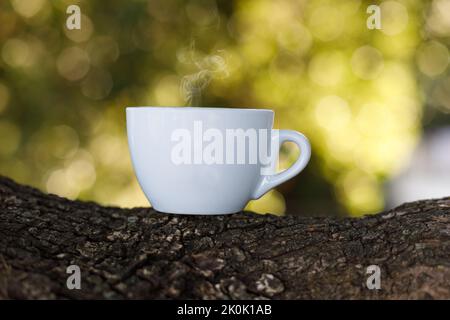 Klassische weiße Tasse Kaffee, heiß auf einem Baumzweig, verschwommener Hintergrund. Speicherplatz kopieren. Stockfoto