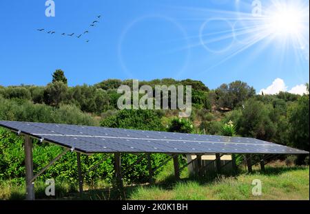 Solarbatterien im Garten. Grüner Garten mit Sonnenkollektoren für Sonnenenergie, Klimaanpassung und Förderung der Biodiversität Stockfoto