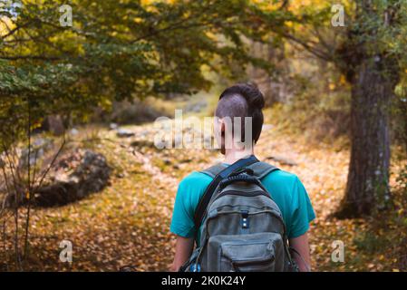 Rückansicht einer ruhigen jungen Dame in legerer Kleidung und frischer Luft, die im herbstlichen Wald unterwegs ist Stockfoto