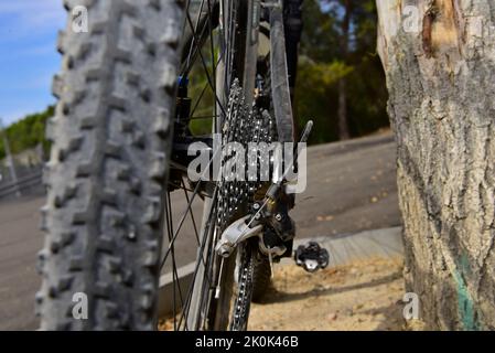 Mountainbike-Rad mit den Zahnrädern neben dem Baumstamm. Stockfoto