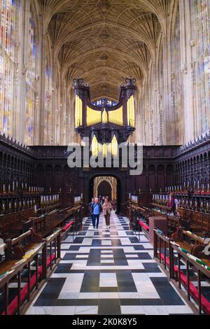Blick vom Hauptaltar zurück auf die goldene Pfeifenorgel in der Königskapelle. An der King's College in Cambridge, England, Vereinigtes Königreich. Stockfoto