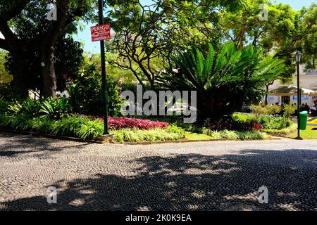 Städtischer Flughafen Jardim, Stadtgärten, Funchal Madeira, Portugal Stockfoto