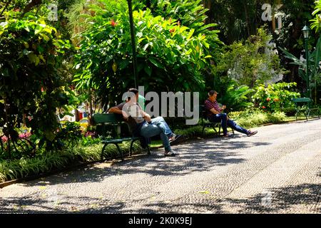 Städtischer Flughafen Jardim, Stadtgärten, Funchal Madeira, Portugal Stockfoto