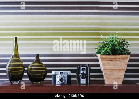 Set aus Glasvasen und Retro-Fotokameras mit Topfgras in Reihe auf Holztisch vor Hintergrund mit bunten Linien platziert Stockfoto