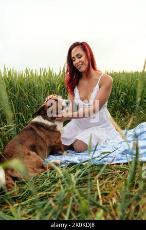 Freundliche Frau streichelt reinrassigen Hund, während sie einander anschaut und auf dem Textil im Weizenfeld sitzt Stockfoto