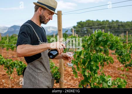 Der Erwachsene Mann erntet am bewölkten Tag auf dem Bauernhof reife Trauben von der Weinrebe und serviert Rotwein mit einer Flasche im Glas Stockfoto