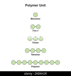 Wissenschaftliche Auslegung der Polymereinheit. Monomer, Dimer, Trimer, Tetramer und Polymer. Bunte Symbole. Vektorgrafik. Stock Vektor