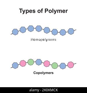Wissenschaftliche Entwicklung von Polymerstrukturtypen. Homopolymere und Copolymere. Bunte Symbole. Vektorgrafik. Stock Vektor