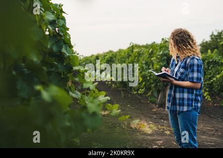 Kaukasische Bäuerin, die in den Weinbergen steht, die Ernte betrachtet und Notizen macht, um das Projekt über die Landwirtschaft in ländlichen Gebieten zu planen. Technologie Stockfoto