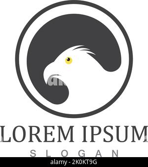 Falcon Eagle Bird Logo Vorlage Vektor Illustration Design Stock Vektor