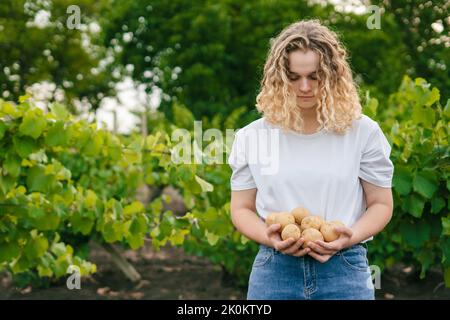 Kaukasische lockige Frau, die Knollen geernteter Kartoffeln in den Händen hält. Sie ist glücklich und stolz. Landwirtschaft, Gartenbau, Landwirtschaft und Menschen Stockfoto