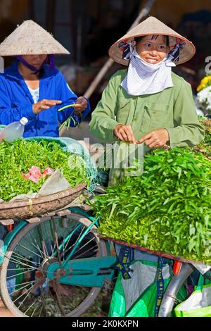 Vietnamesischer Anbieter mit Bambushut, der auf dem Straßenmarkt unter freiem Himmel, Hai Phong, Vietnam, arbeitet Stockfoto