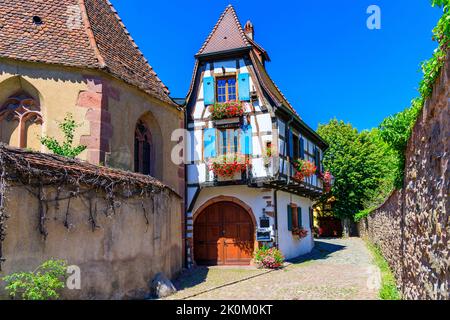 Kaysersberg Vignoble, Frankreich. Malerische Straße mit traditionellen Fachwerkhäusern an der elsässischen Weinstraße. Stockfoto