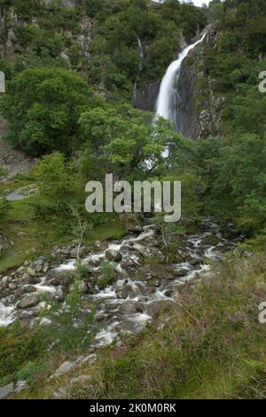 Wasserfall genannt Aber verliebt sich in Coedydd National Nature Reserve, Conwy, Wales, UK Stockfoto