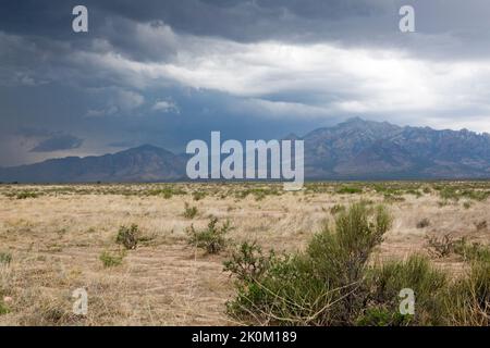 Über dem San Simon Valley und den Chiricahua Mountains in New Mexico, USA, sammeln sich Sturmwolken Stockfoto