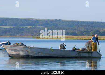 Zwei Personen kontrollieren die Fischernetze in einem offenen Boot in Poole Harbour; Dorset UK Stockfoto