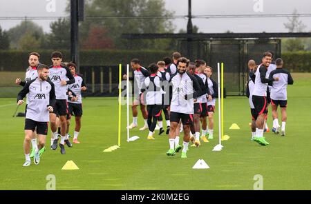 Mohamed Salah aus Liverpool (Mitte), James Milner (links), Roberto Firmino (rechts) und Teamkollegen während einer Trainingseinheit im AXA Training Center, Liverpool. Bilddatum: Montag, 12. September 2022. Stockfoto