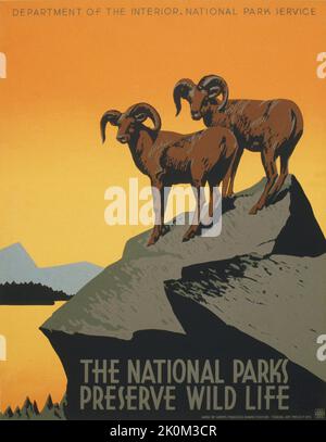 Die Nationalparks bewahren das wilde Leben. Plakat für das Innenministerium, National Park Service, das Reisen in Nationalparks fördert, zeigt zwei Dickhornschafe. Datum zwischen 1936 und 1939 Stockfoto