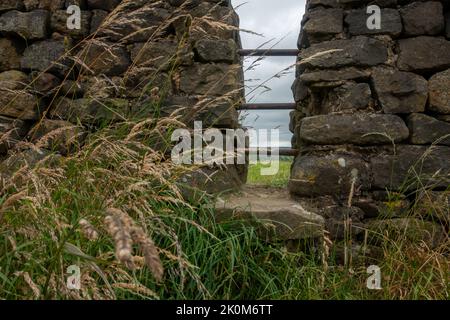 Squeeze Stile, oder Squeezer Stile, in einer trockenen Steinwand, die schwieriger zu passieren ist, mit Metallstäben, die ihn zu einem Leiterstile machen, Yorkshire, Großbritannien Stockfoto