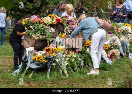 Menschen, die nach dem Tod von Königin Elizabeth II. Blumen um einen gefallenen Baum im Green Park plazieren Geblümte Tribut Stockfoto